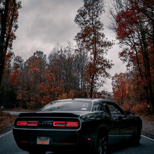 重庆鑫渝达二娃