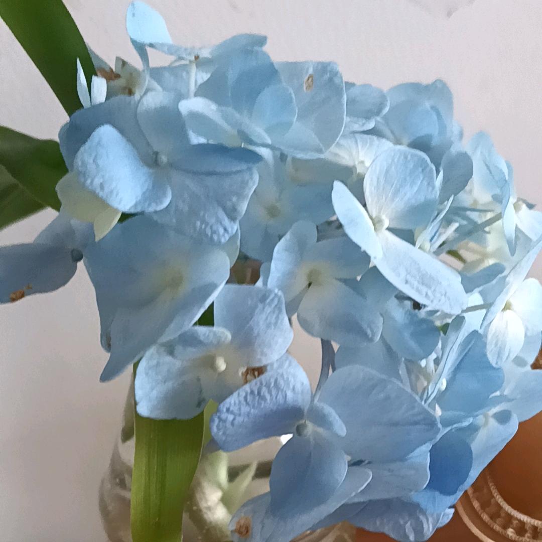 淡水