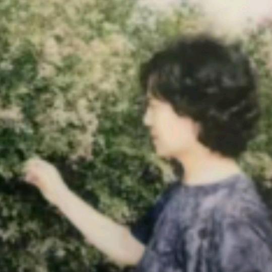 诚成好物