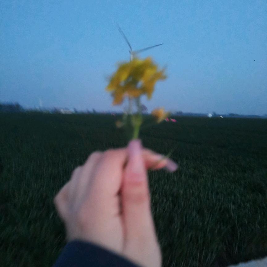 jsdhwdmax