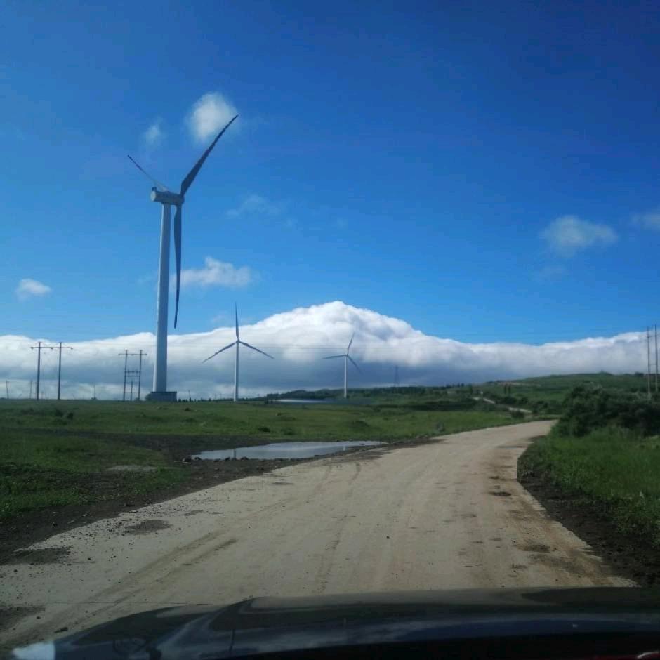 爱我跟我走