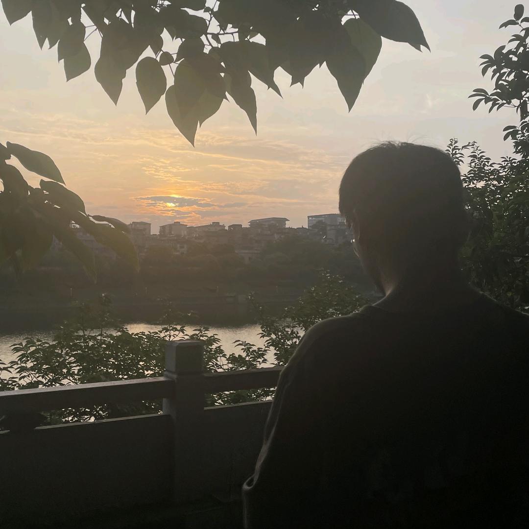 向阳而深