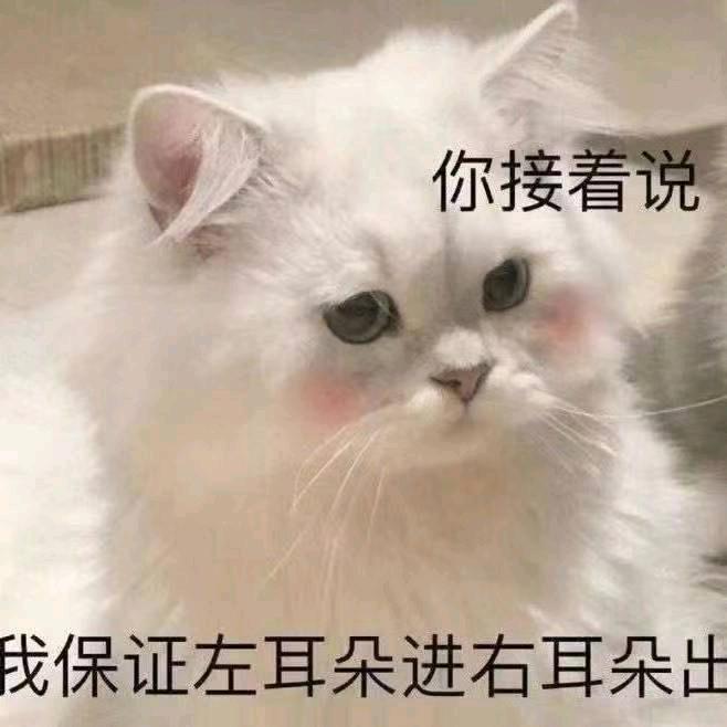 摆烂的小王