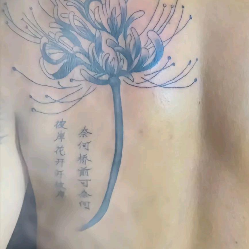 独@身