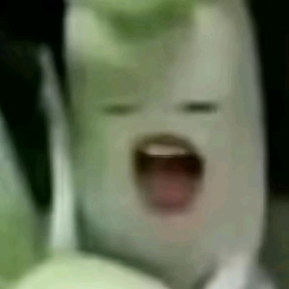 我要养小狗我要养小猫！！