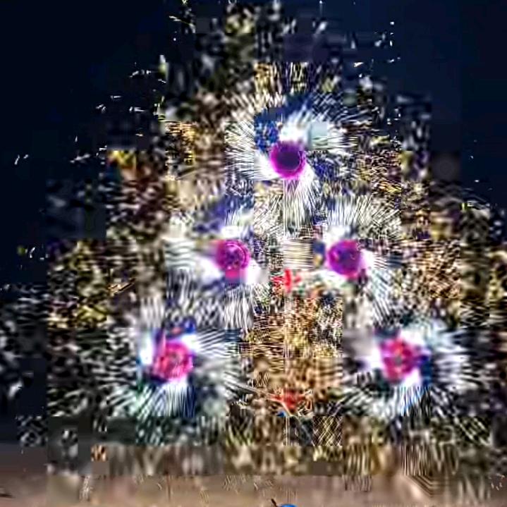 执着💞