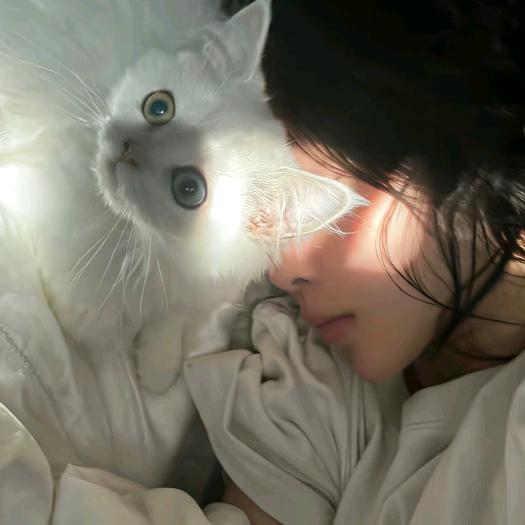 没关系 没关系…