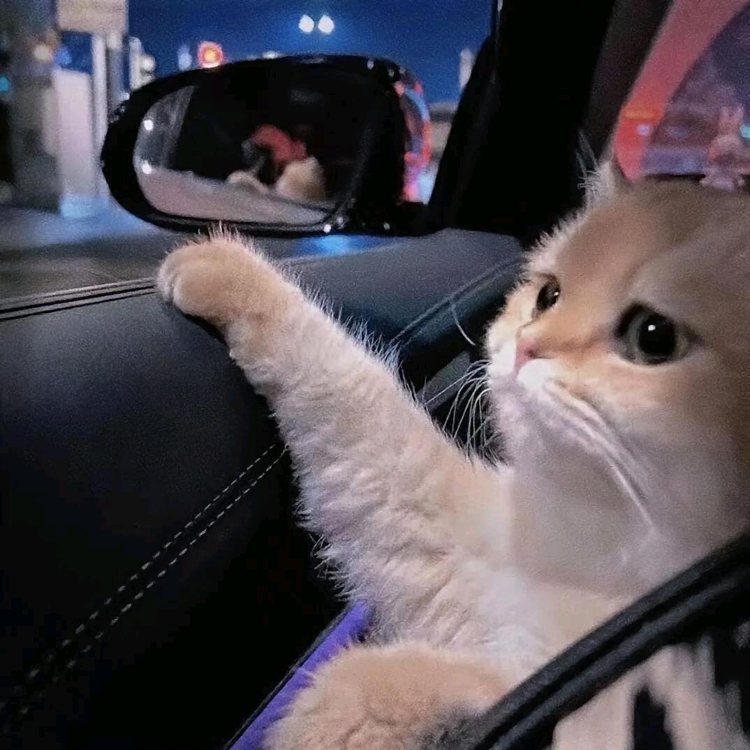酒鬼小贱