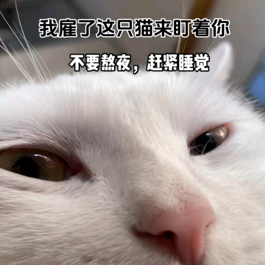 呜昂王