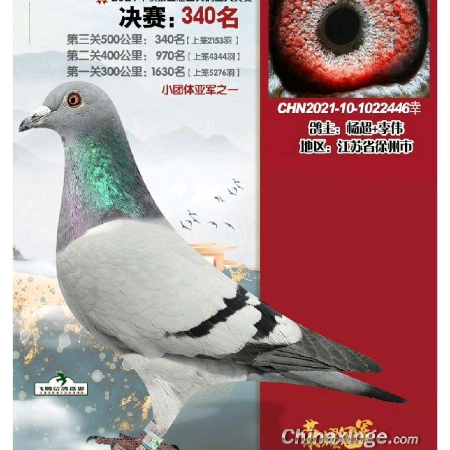 A红狐狸
