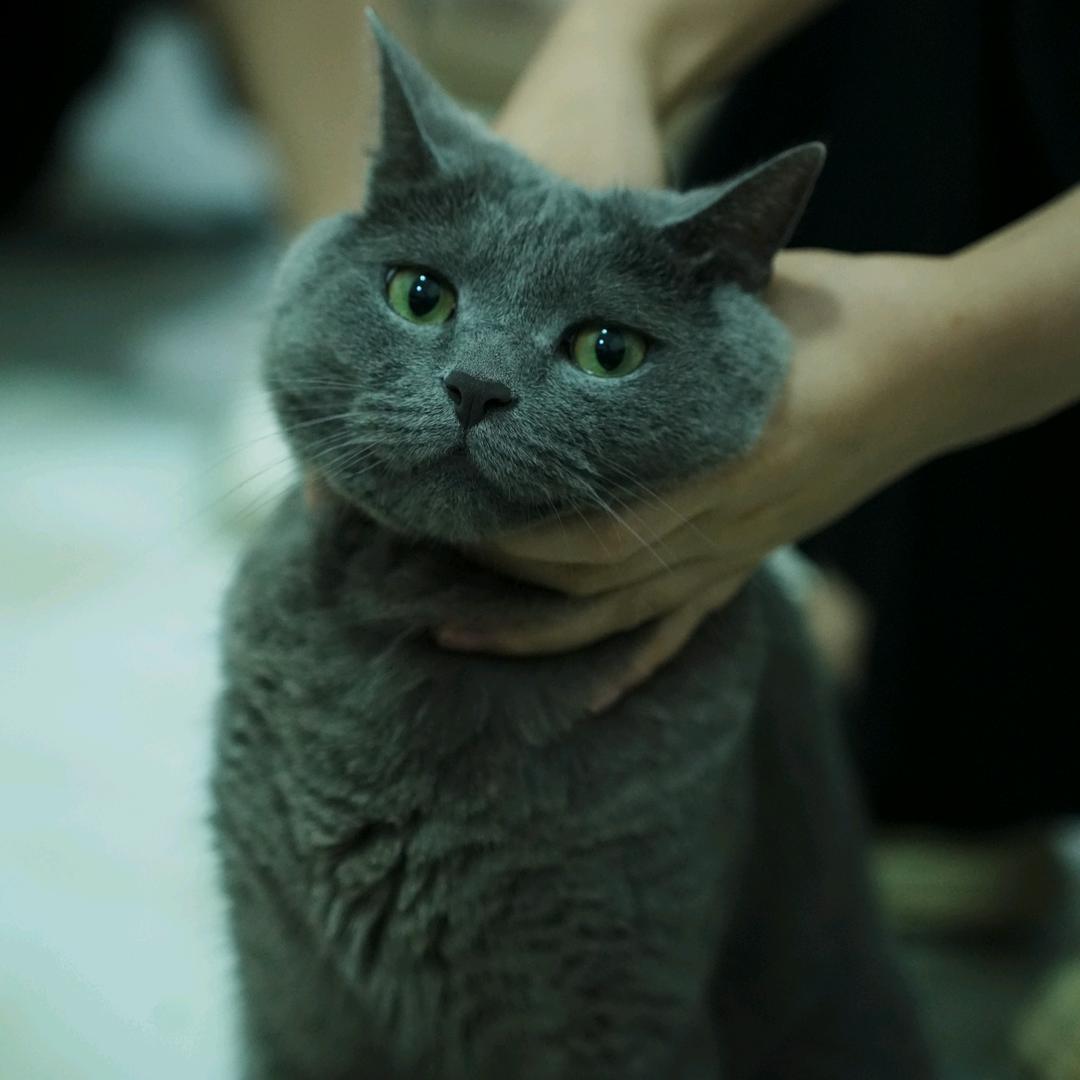 洋洋摄影日记📷