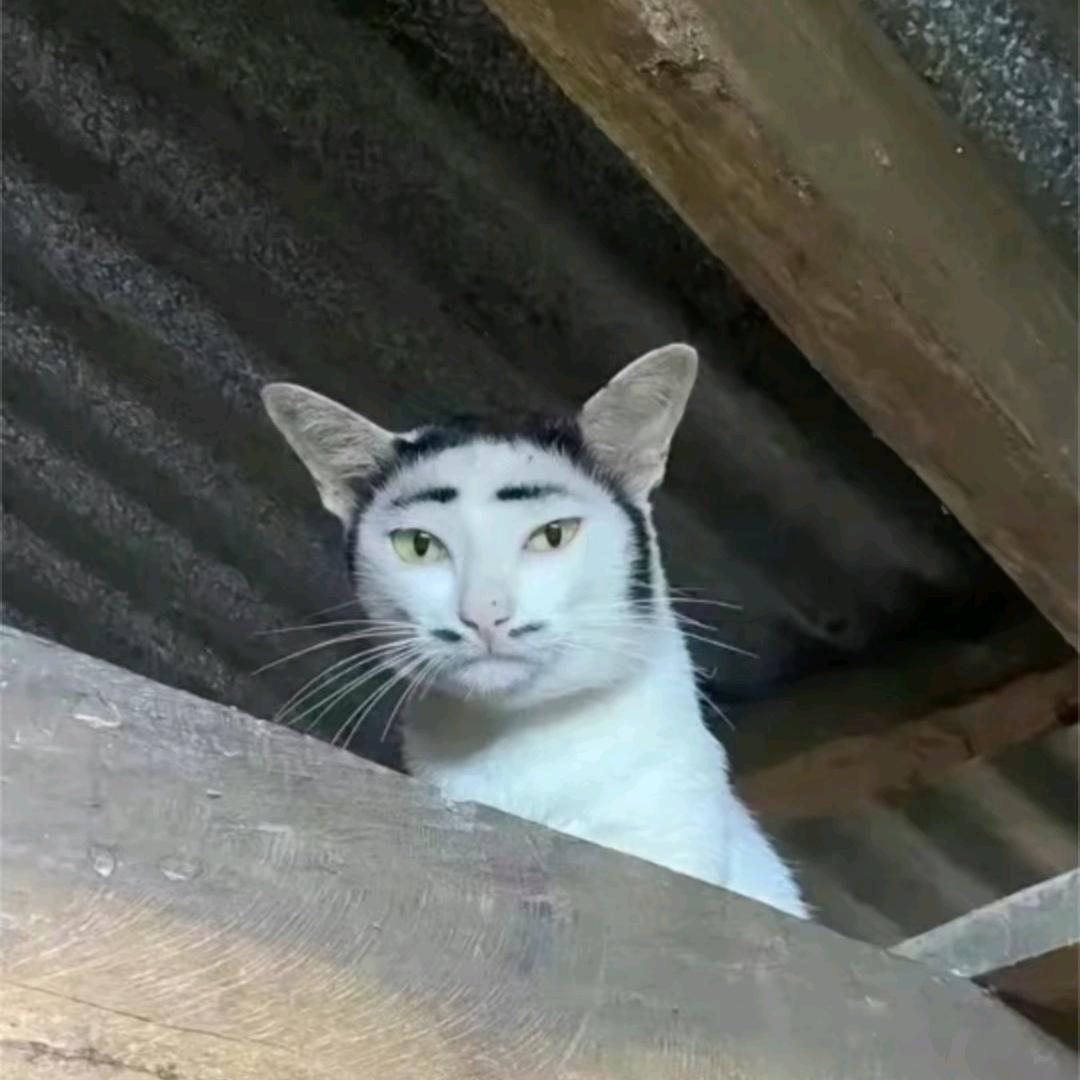 喜欢cos的体育老师