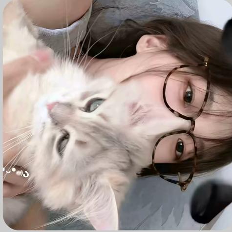 影子！