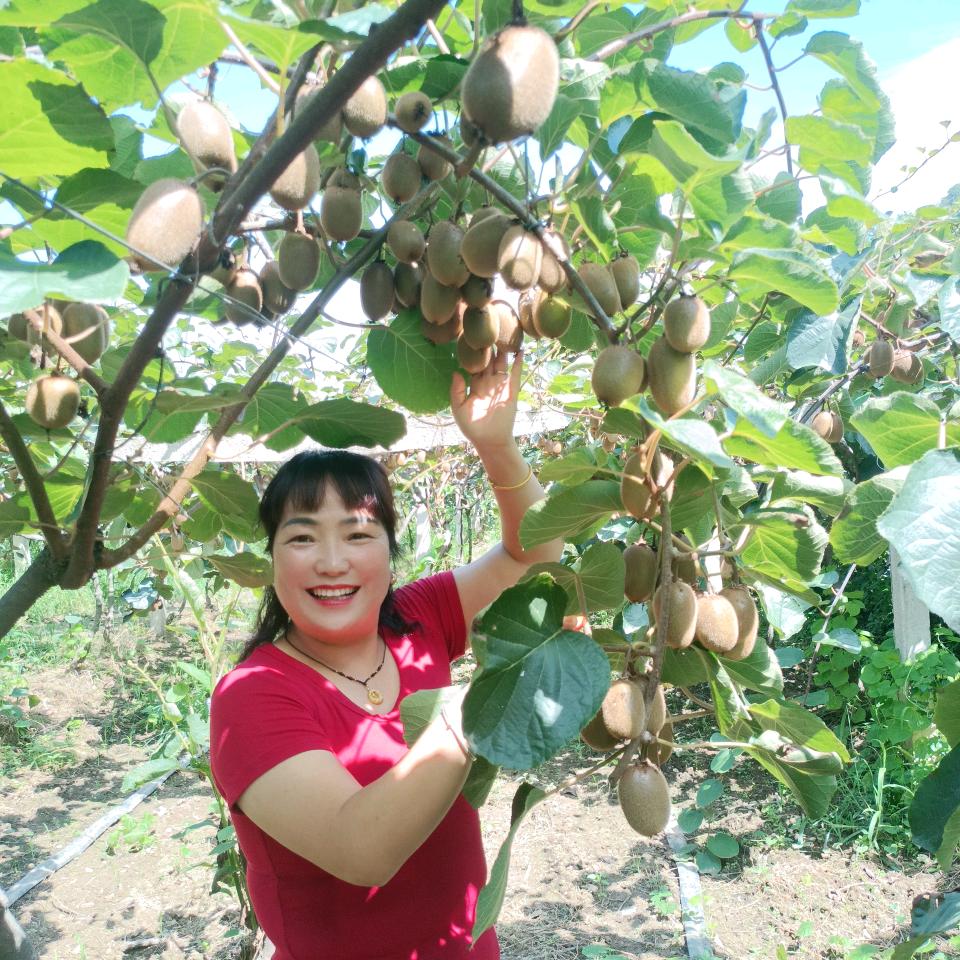 周至岳姐果品销售