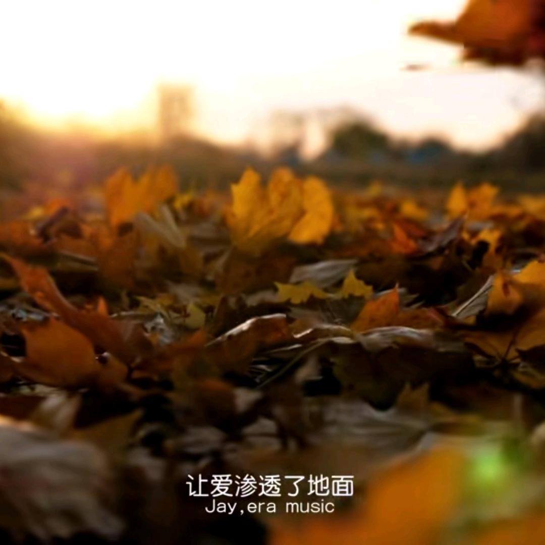 啦啦啦啦
