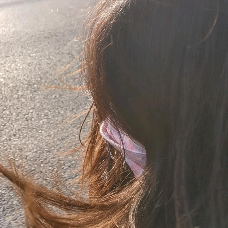 💜sunshine°暖心づ💜