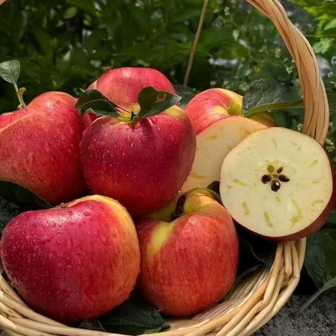 昭阳湖盛网络设备精选店