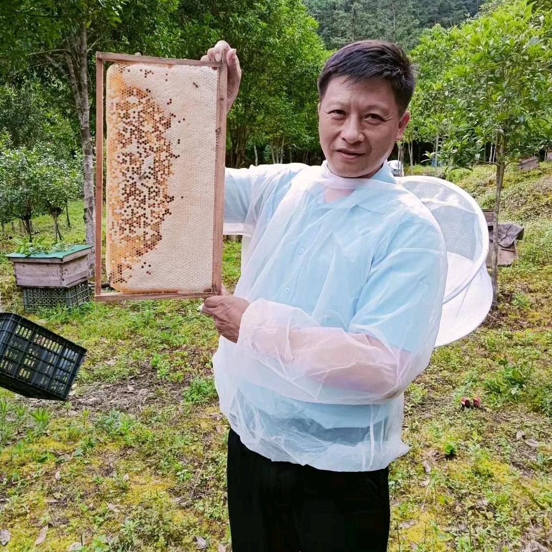 金盆山佳福养蜂场的养蜂哥