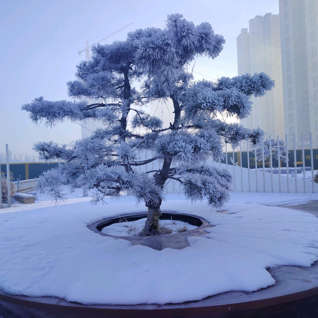 我不信名字你们都用了