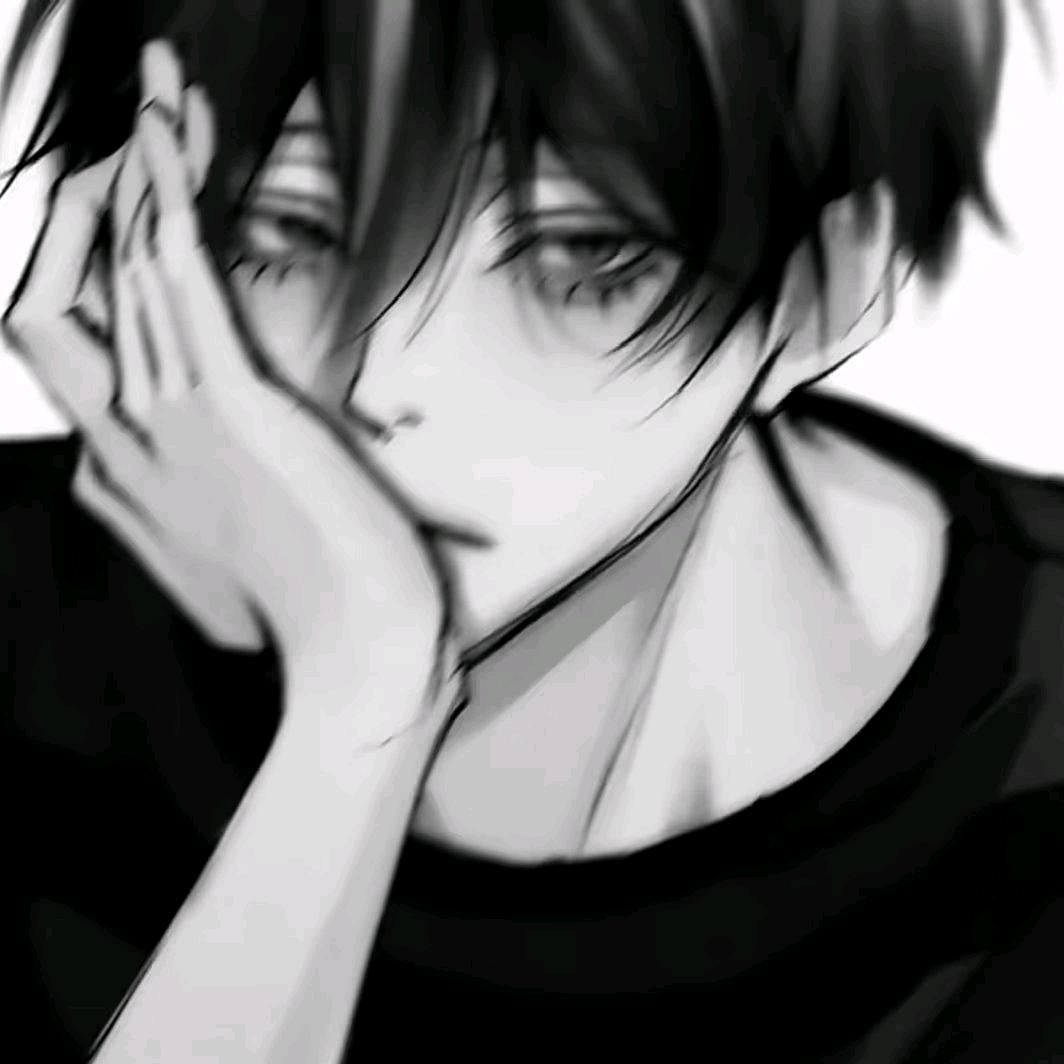 枫