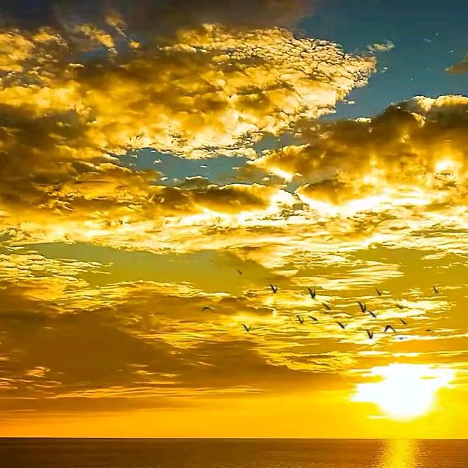 滨州经济技术开发区月明电动车专卖商行（个体工商户）