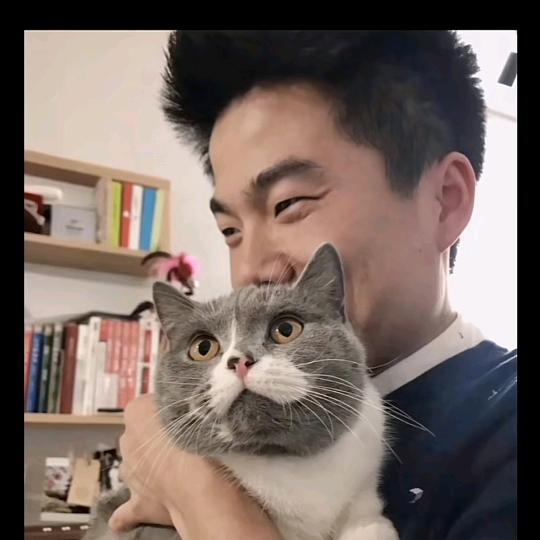 杨
