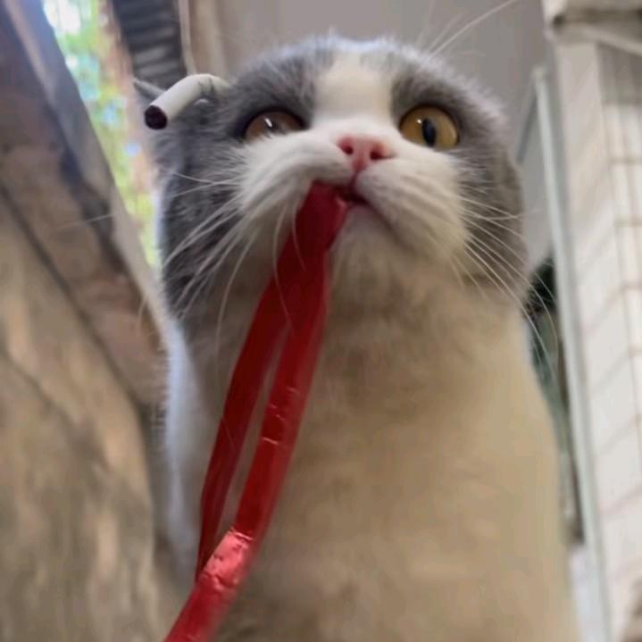 旅途