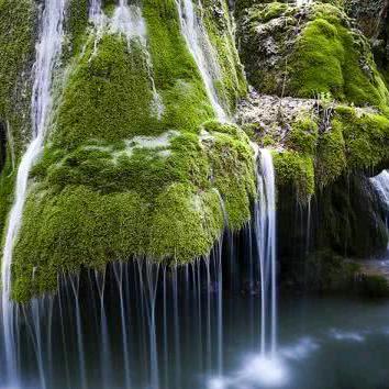 用户979127陈忠来