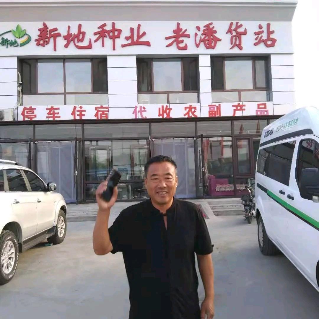 老潘西瓜代收团队