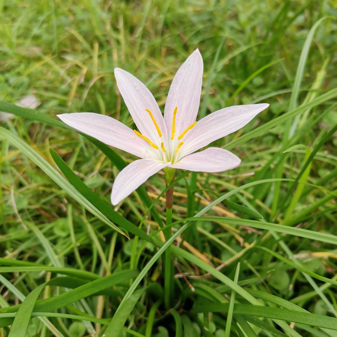 🌈🌈群群🍀🍀