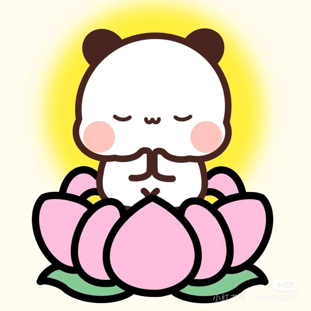 鹅鹅的美丽生活（装修版）