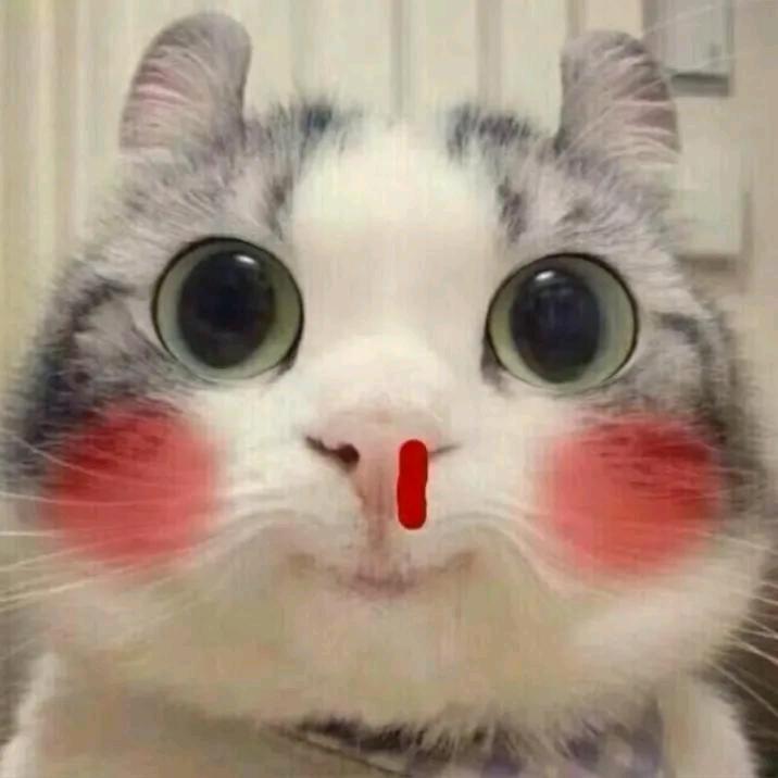 小心我的小拳拳