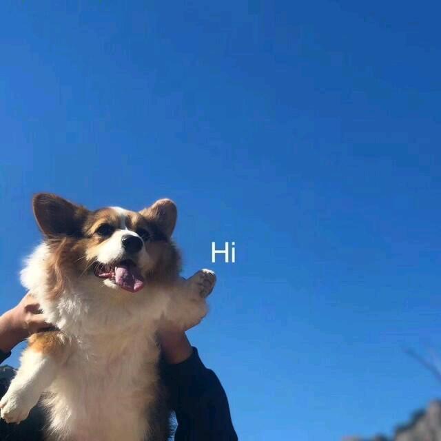 三国群英传ol（司空）