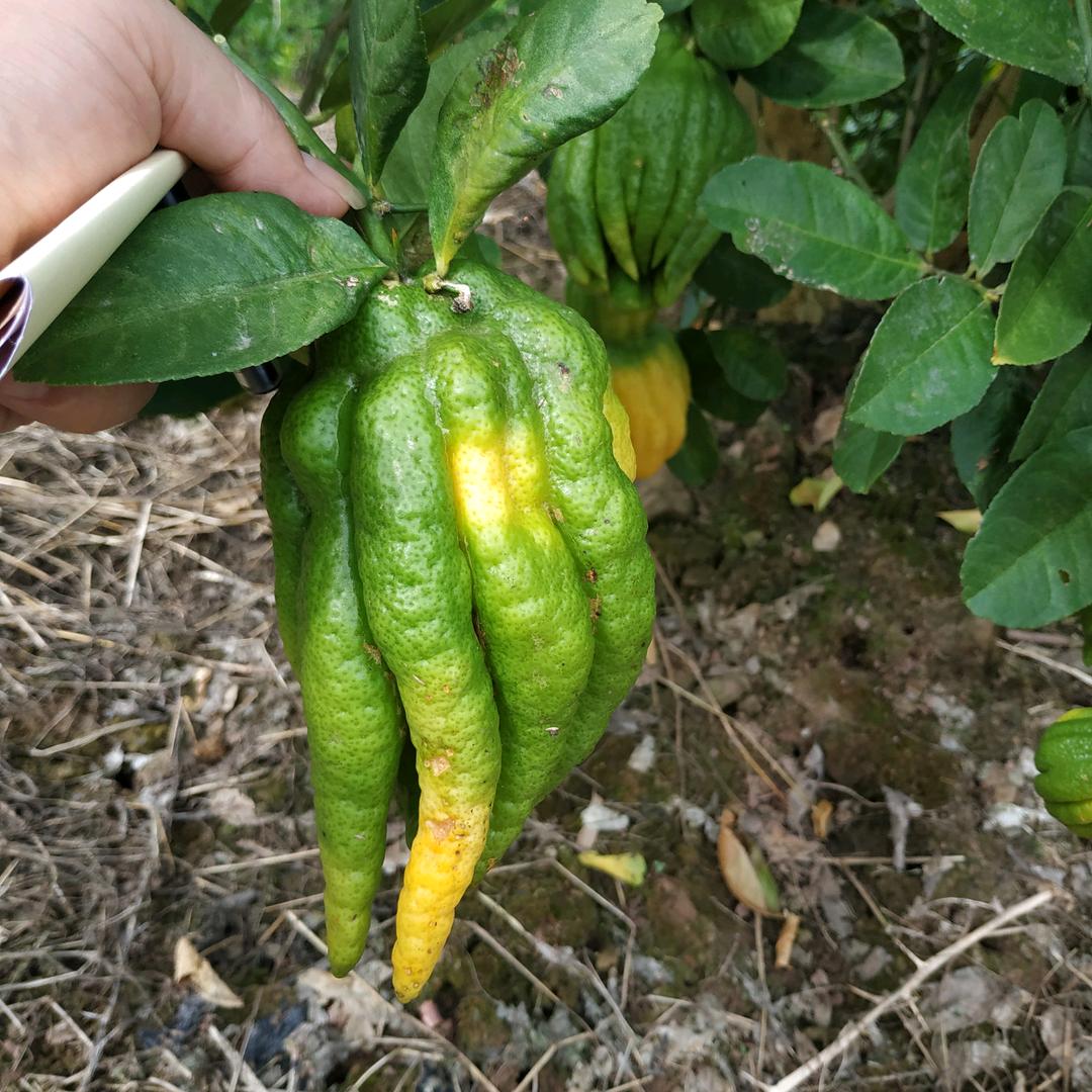夏天影视精彩接着看