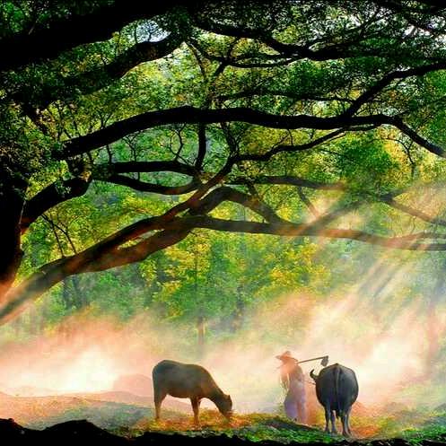 ✨天边～牧云⛅️