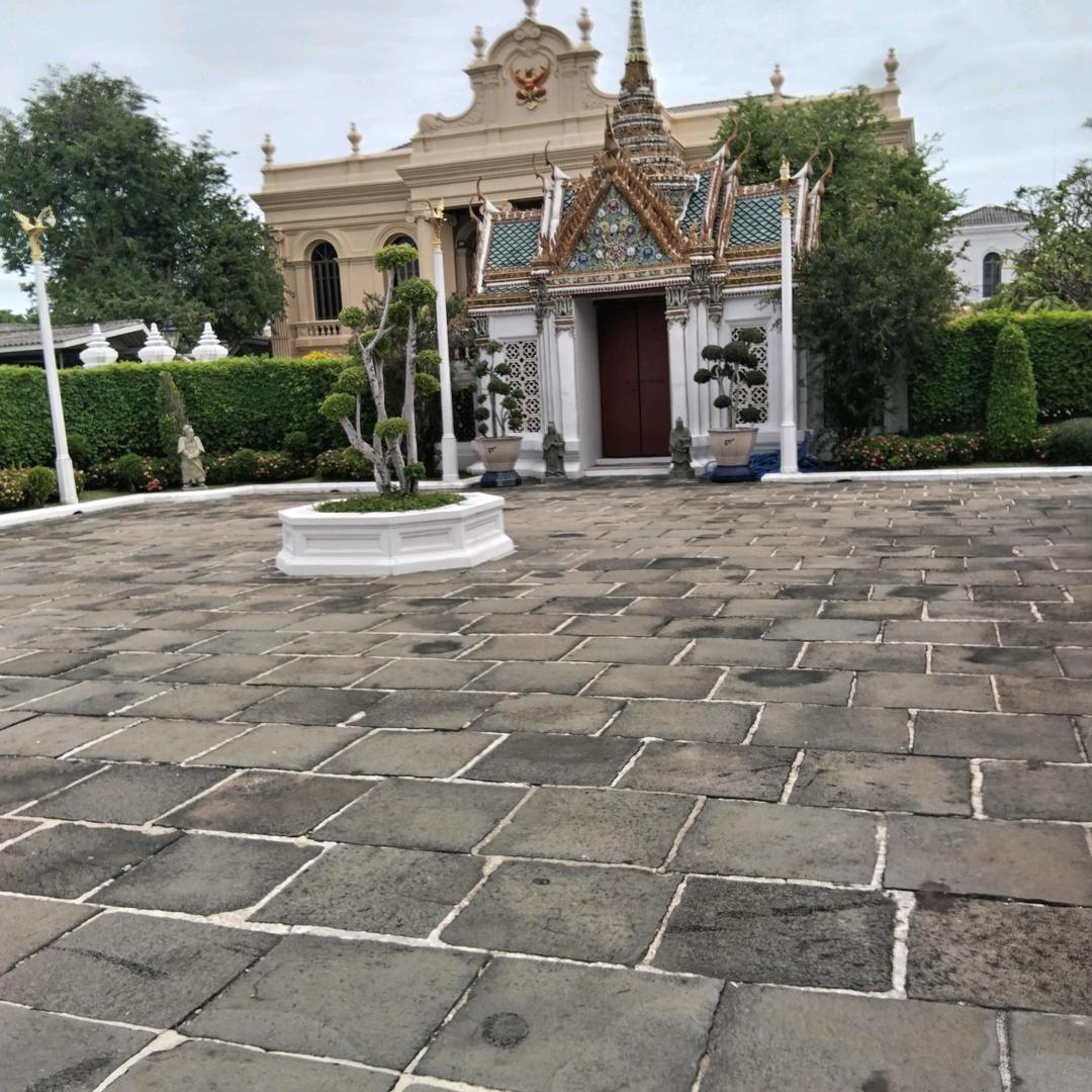 每天分享好听的歌