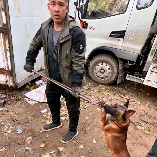 AAA 沂南张师傅专业套狗