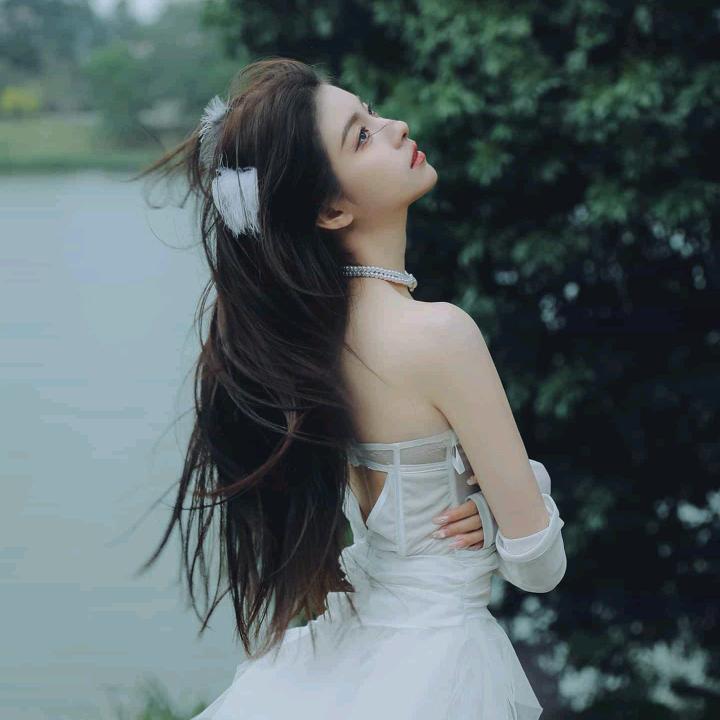 两只小蜜蜂吖