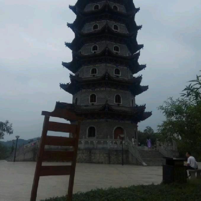 忘了她嫁给我《有土蜂蜜出售》
