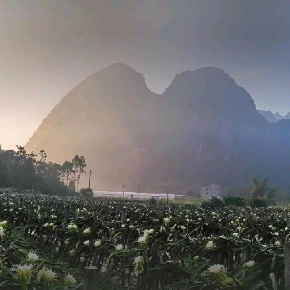 阿捷