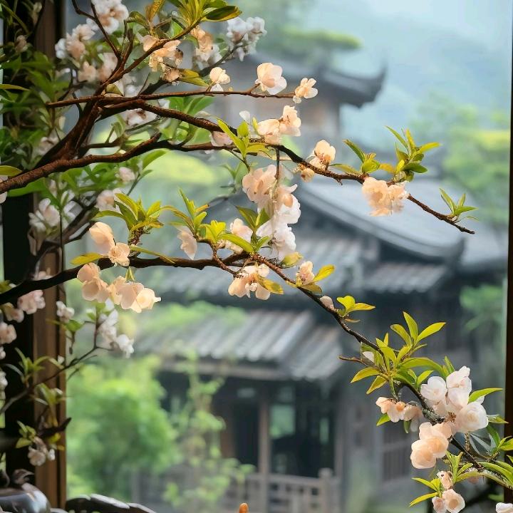 恭喜发财