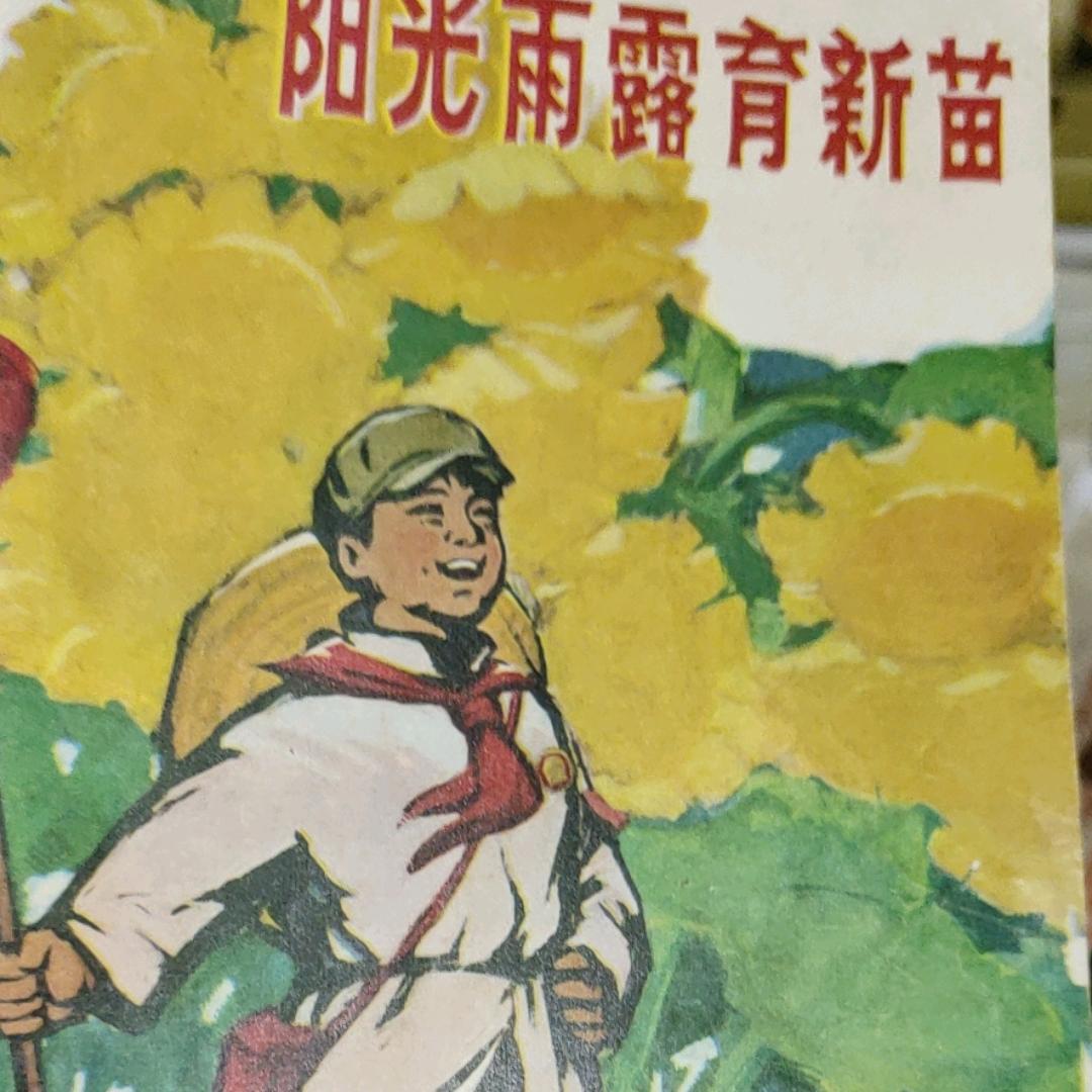 书，影，时，光