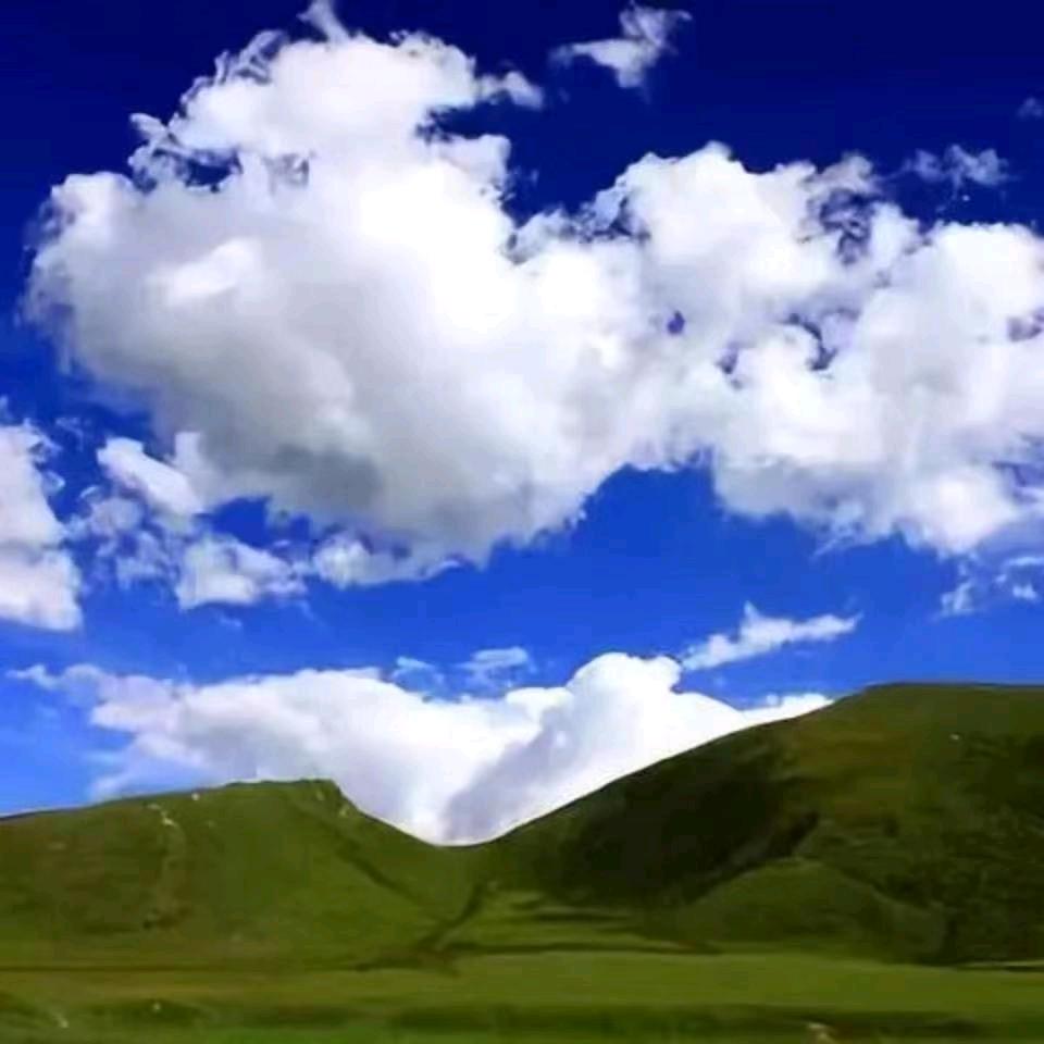 马老四