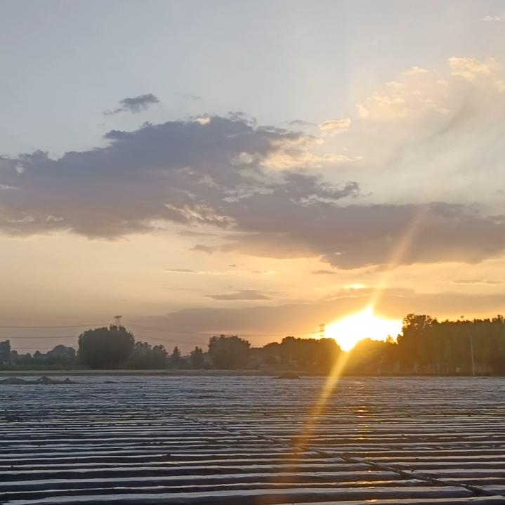 解药无毒