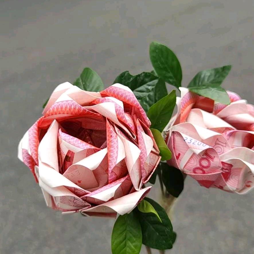 🌺