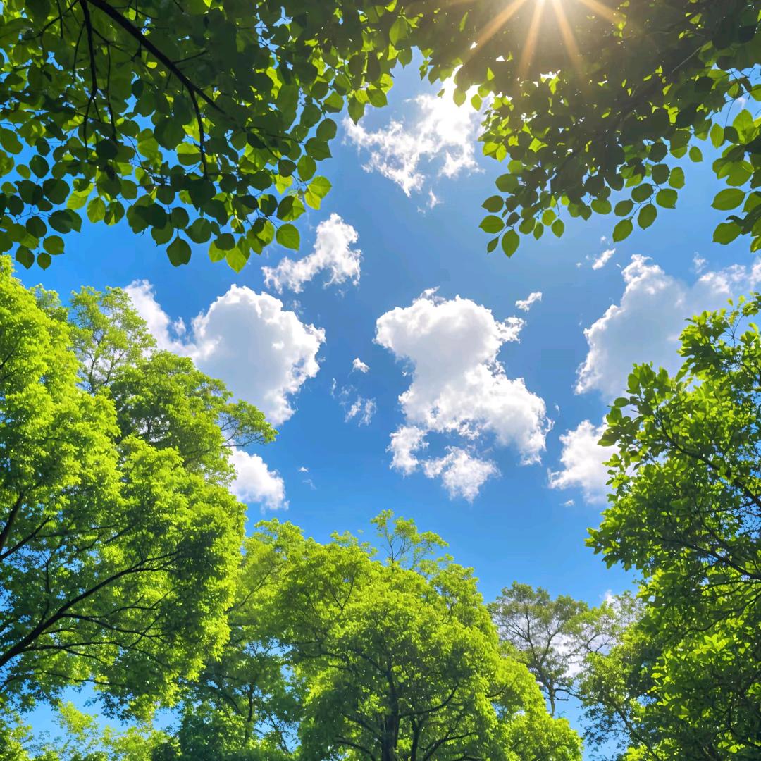 吃饱就睡脑袋大