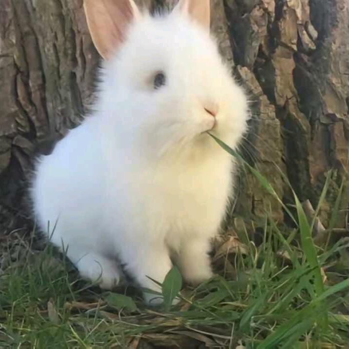 开心😁🐇一辈子