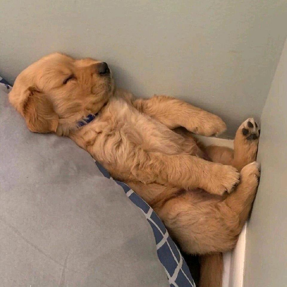 啾啾啾啾啾啾啾