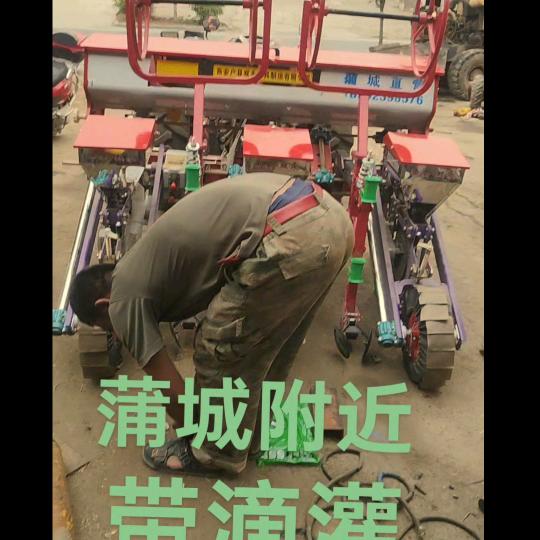韩家504。养殖