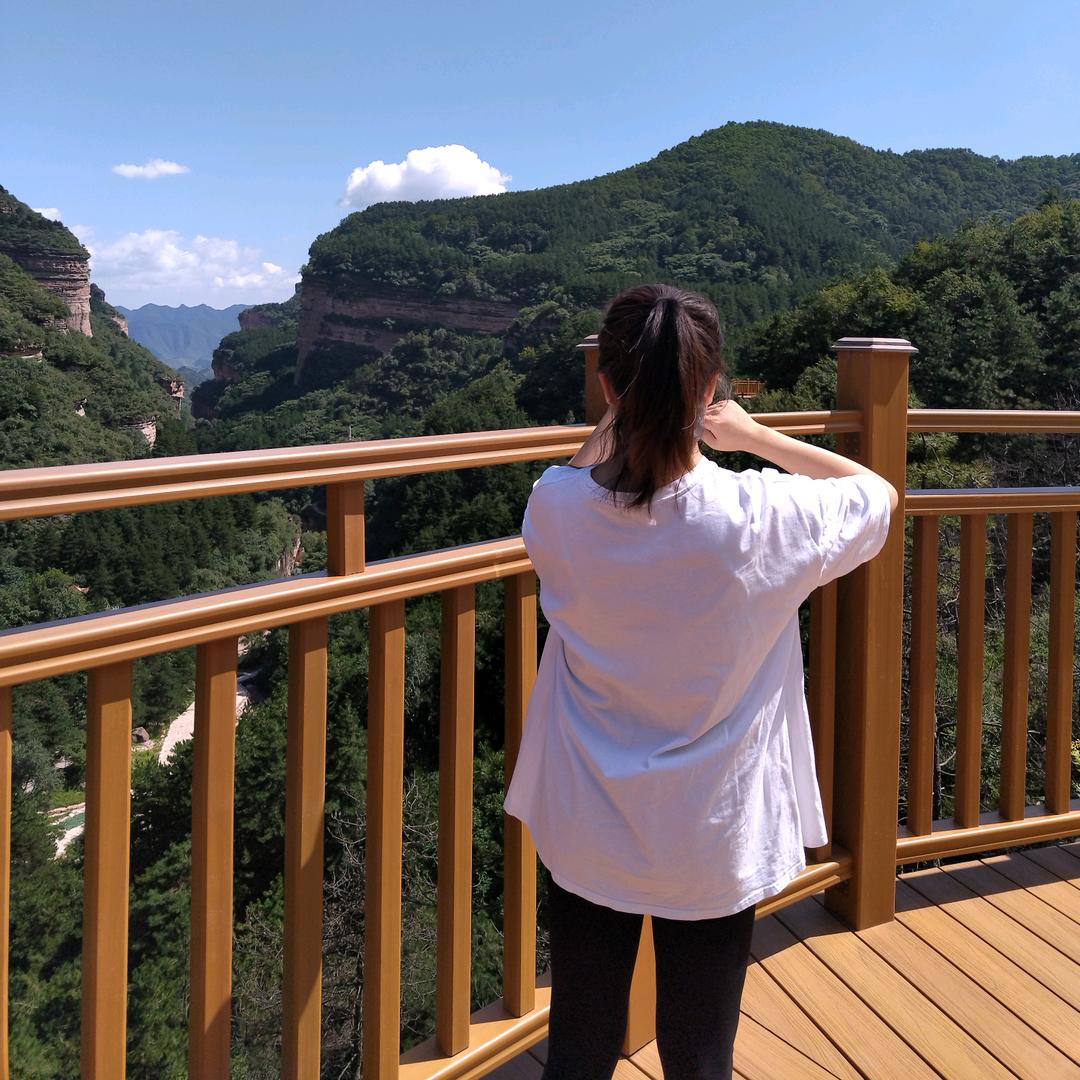 一股清流